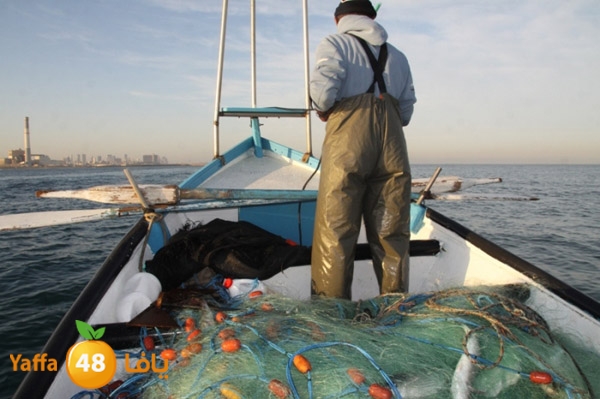 sayyadnewyaffa3 (8).JPG